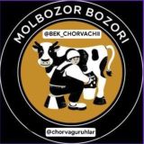 Namangan chorva molbozori qo'ylar