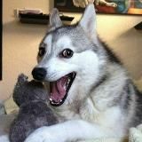 Приколище 🌝😝