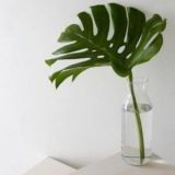 Чат "выкройки пдф"