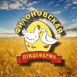 🐣Филоновская птицеферма🐥