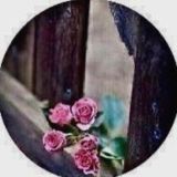 قنـاة | الجـوري