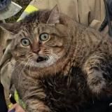 Don't forget and don't forgive!