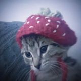 💋ЧАТ | Эдиты/Футажи💋