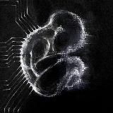 concept. | NO SIGNAL