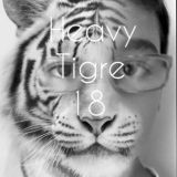 Heavy Tigre 18 pubblica 1