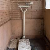 Больница в моей голове