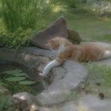 нерезочки от мазуалк.💋