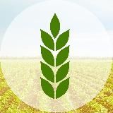 АгроПромИнформ | Сельское хозяйство и пищевая промышленность