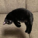 Все в курсе, звони, кому хочешь