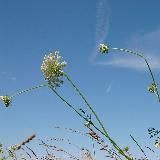 Полюбить Свою Землю