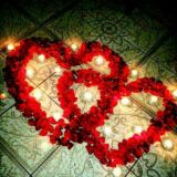 ༴ཞ༵ྂ༼꯭̭̭̭ٖٖٖٖٖٖٖٜ̎̎̎̎̐̂̂̂̂̂̂̂𖢹̻͍̻͍̻̬⸽꯭s͟ᴛ꯭͟ᴜᴅ꯭͟ᴇ꯭ɴᴛ꯭͟⸽𖢹꯭̻͍̻͍̻̬ٖٖٖٖٖٖاٜٜٜٜٜٜٜٜٜ۬۬۬۬۬۬۬۬۬۬ا۬۬۬۬۬۬۬۬۬