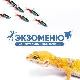 EXOMENU.RU (ЭКЗОМЕНЮ)