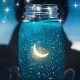 Thieves Of Wonders️️️