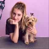 Стрижка собак и кошек Краснодар | груминг