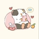 Морские свинки