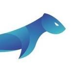 ГорностайTeam