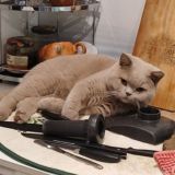 Интим, никотин и точка.