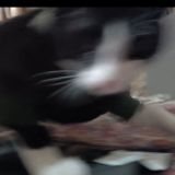 Чаеманы🥃😈💗😋