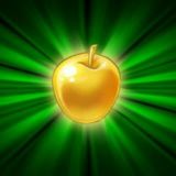 💚 ~ Pocus Soul ~ ♥