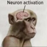 🧠 Очень Умное Утро 🧠