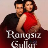 RANGSIZ GULLAR | MAKKORA SERIALI ⚡