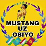 🐎 MUSTANG.UZ OSIYO 🐎