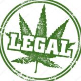 🌴4:20🌴ᴛɪᴍᴇꜱ🚬