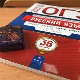 контора gardi
