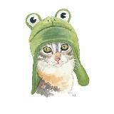 FROG AND CAT | Интересные факты