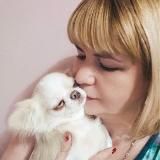 Щенки чихуахуа Milagro Bonita
