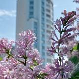 Горский мкр Ленинский район Новосибирск