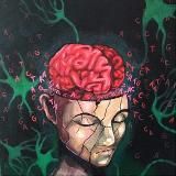 Пэпэшечка для мозга - News