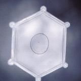 𝙁𝙡𝙖𝙩 𝙀𝙖𝙧𝙩𝙝 𝙄𝙨𝙡𝙖𝙢 𝘼𝙣𝙙 𝙈𝙤𝙧𝙚