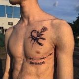 Ставки