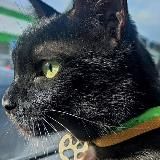 Выжить после.....😅🤦