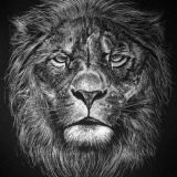 Super grupa ⁷⁰¹