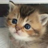 Коробка