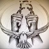 Жизнь !!! Без долгов.