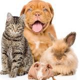 Зарабатываем по легкому 💸💸💸