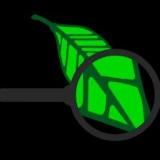 Иванова Наука