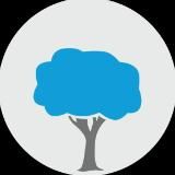 🌳Всё едино (vseedino.ru)