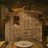 Колонка Мистера Фокса