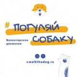 Погуляй собаку