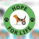 "Надежда на Жизнь" приют для животных