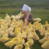 زودیاک دیلی.