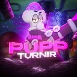 турниры по бравл старс | PUPP TURNIR BS🏆