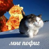 нас нет