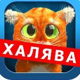 БОТЫ! ЗАРАБОТОК! КОНКУРСЫ! ХАЛЯВА