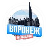 Воронеж на ладони