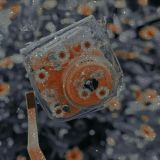 𝔼ℝ𝕊𝔸𝔾 𝕊ℍ𝕆ℙ🛍️